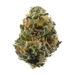 Marathon Og Thca Hemp Flower 250317.jpg