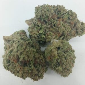 20231012 122736 Scaled E1697152576372.jpg