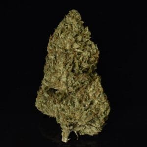 5ihvakqkr Ok0y Yrm5mpa Thumb 193.jpg