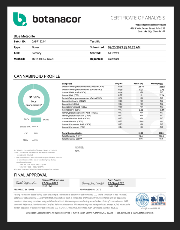 Blue Meteorite Hybrid Coa 1.png