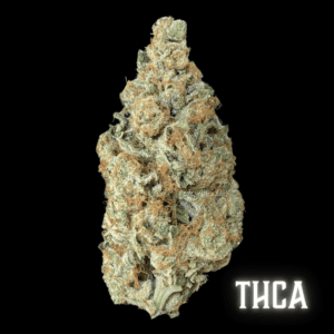 Fritter Mintz Thca 1.png