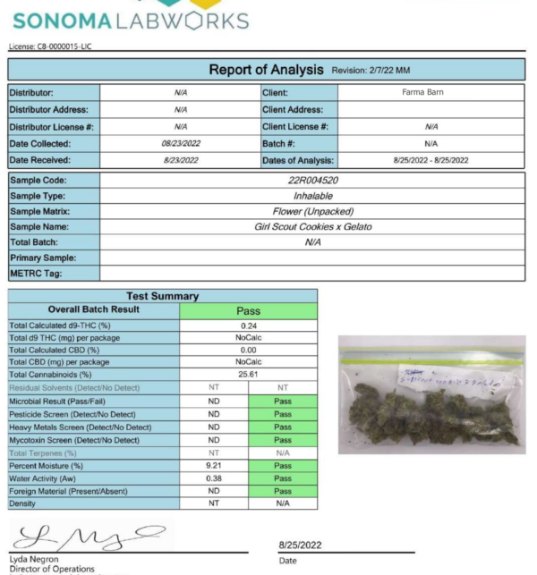 Girlscout Cookie X Gelato.png