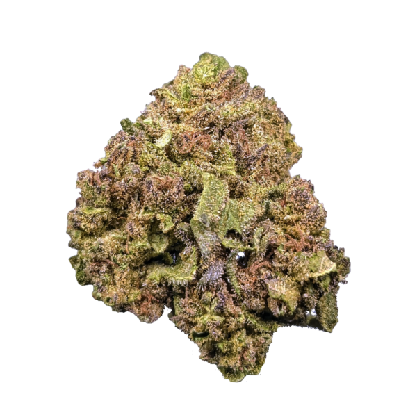 Jack Herer.png