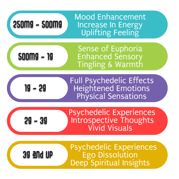 Magic Mushroom Cubez Gummies Dosing Guide 1.png