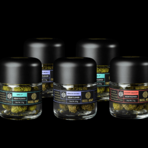 No Background Product Shots 6 2.png