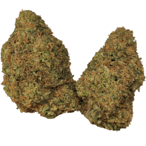 Pxl 20230519 184244522.png