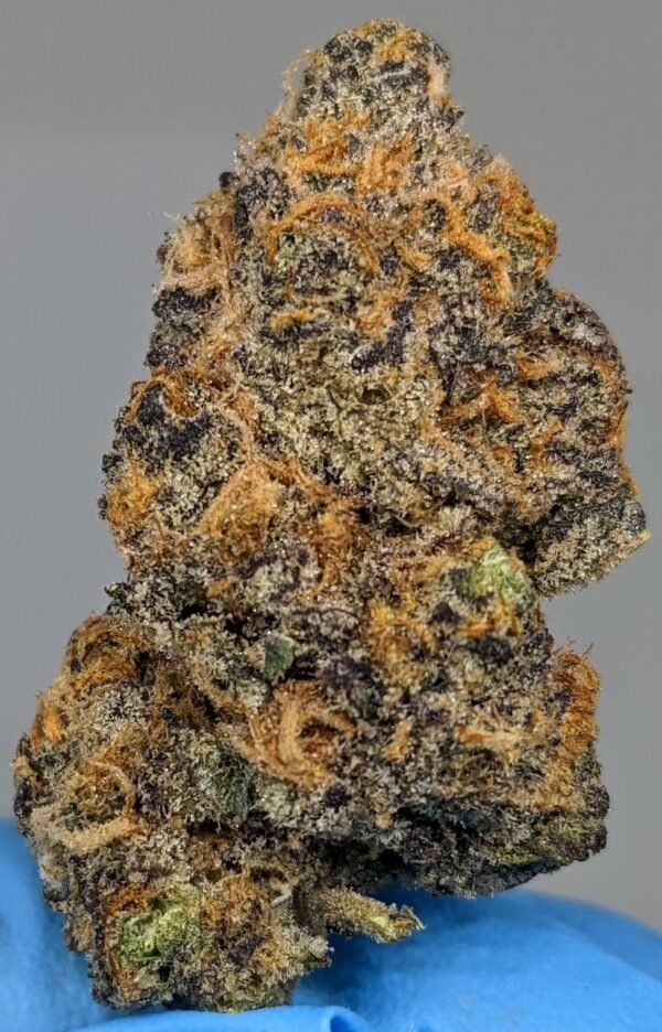 Peanut Butter Breath2.jpg