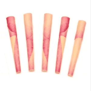 Flamingo Rose Petal Minis 5 Pack 846.png