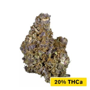 Mendo Thca 1.jpg