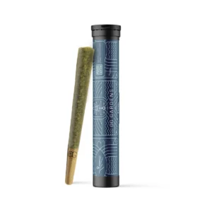 Og Gardens Pre Roll Sativa Hybrid Web 3.webp