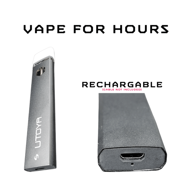 Rechargable Vape 2 Gram Vape For Hours 2.png