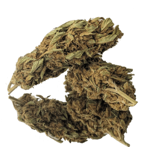 Sample.png