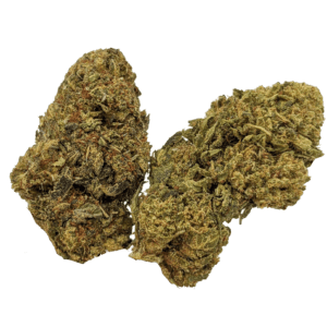 Sourdiesel Pic.png