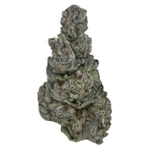 Thumbnail Platinum Og 1024x731 1.jpg