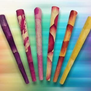 Variety Rose Petal King Cones 6 Pack Stationery Party Supplies Magenta Kitchen Utensil 501.jpg