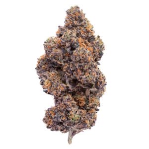 Bt Sunset Sherbert 1 1280 59271.1704907231.jpg