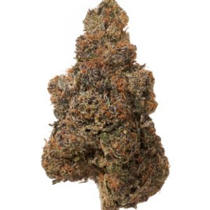 Black Tie Gary Payton Flower Solo Bud On White Background 73069.1718127307.jpg