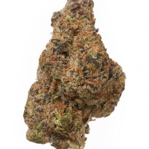 Black Tie Rainbow Runtz Solo Bud On White Background 90316.1718128676.jpg