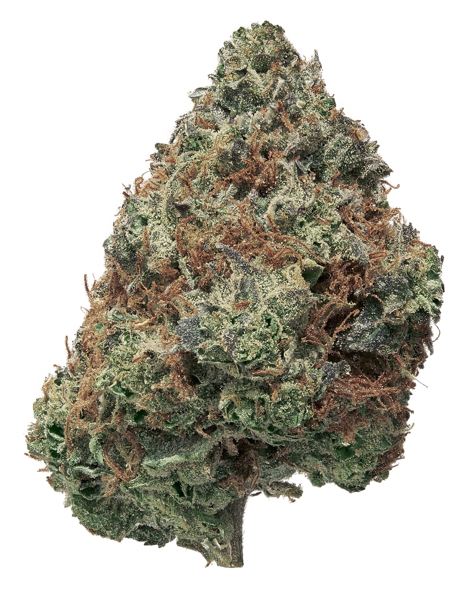 Stacked From 13 Images. Method=c (s=1)