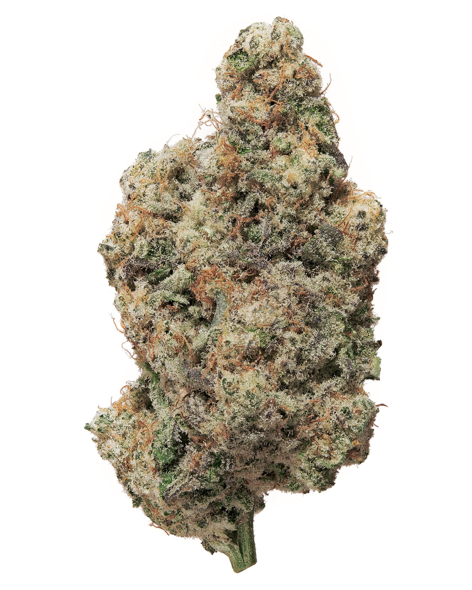 Stacked From 15 Images. Method=c (s=1)