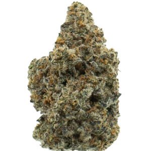 Dantes Inferno Indoor Thc A Blacktiecbd.net 12.15.23 43383.1702648767.jpg