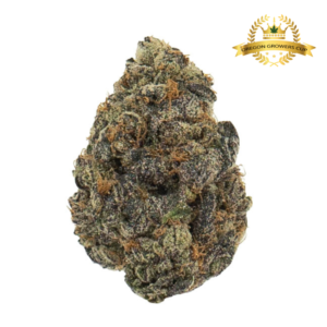 Jealousy Main Pic 05395.1708474547.png