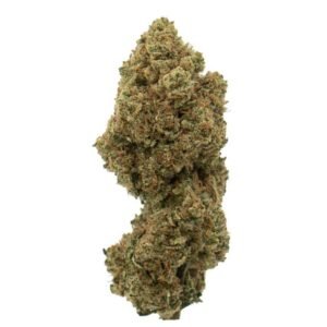 Mango Tree Indoor Cbd Hemp Flower 1302 80365.1700113767.jpg