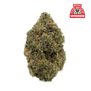 Untitled Design 22 01770.1712924280.png