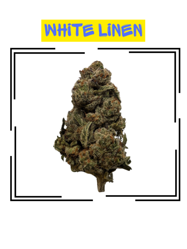 White Linen Aa Single Bud 1.png