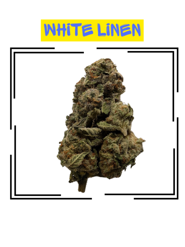 White Linen Aa Single Bud 2.png