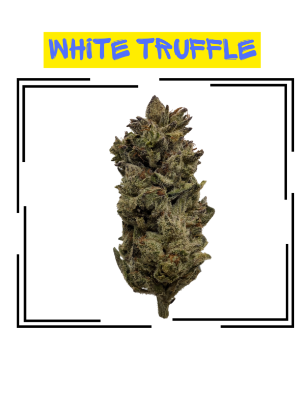 White Truffle Aa Single Bud 1.png