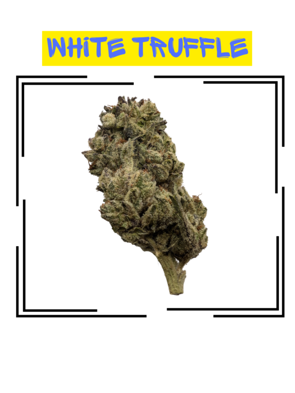 White Truffle Aa Single Bud 2.png