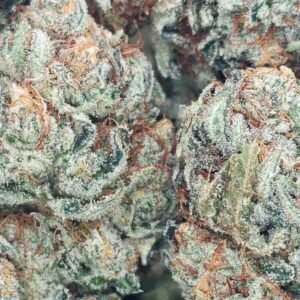 S302833611796643795 P162 I1 W2929.jpeg