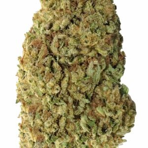 Forbidden Ihf Flower Pic E1721851308868 2.jpg