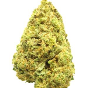 Limeade Indoor Scaled 3.jpeg