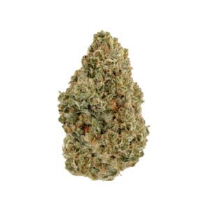 Photoroom 20240702 101255 2.jpg