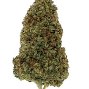 Photoroom 20240711 145238 1 E1720804056274 2.jpg