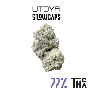 Thca Snowcaps Flower 1.png