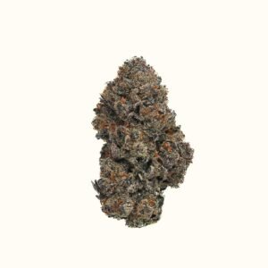 Websiteimages 12 1 1.jpg