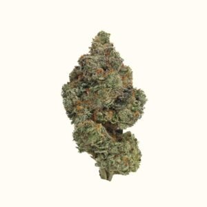 Websiteimages 18 1 1.jpg