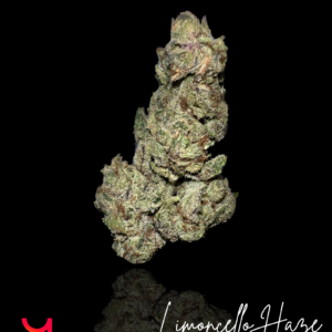 Yaga Farms Limoncello Haze.png