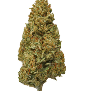 Hawaiian Haze Flower Pic 5.png