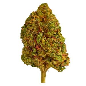 Ihf Lemon Octane Pic 2.jpeg