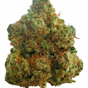 Ihf Snack Time Pic 2 E1726075468664.jpg