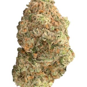 Pinesgr Cookie 2 2.jpg