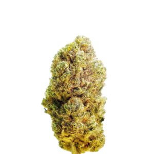 Sour Blueberry Pic 2.jpg