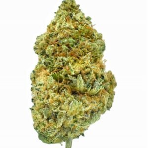 Space Invader 3 E1700181126138 2.jpeg