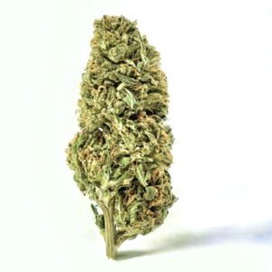 Special Sauce Ihf 2.jpeg