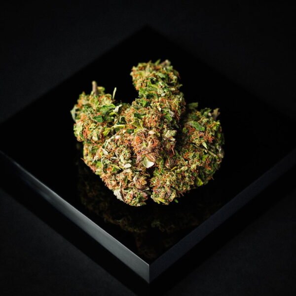 Diesel Lemon Ab Flower Onlyfor Web.jpg