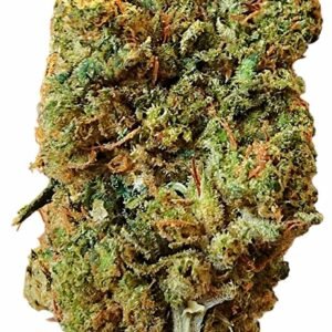 Ihf Durban Diesel E1727724518983.jpg